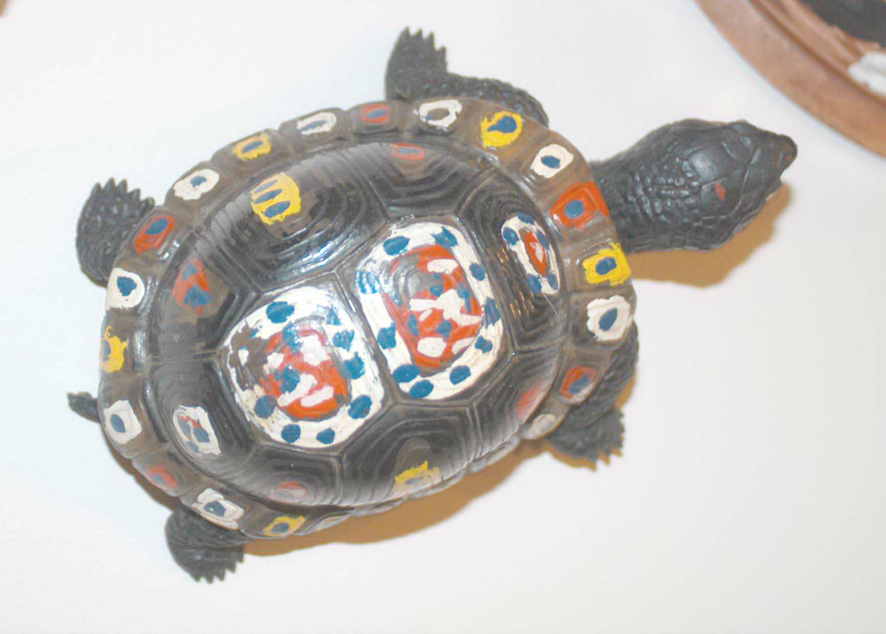 Painted black turtle