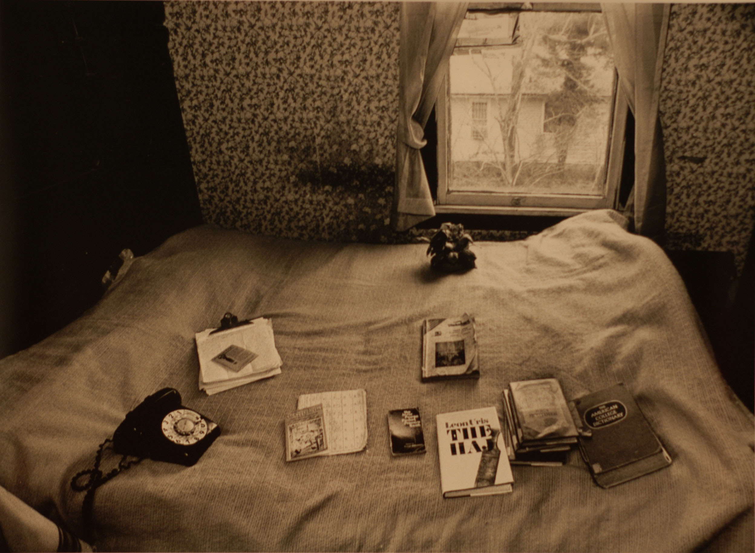 Her bed filed with reading materials