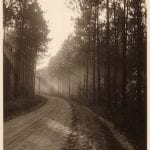 Forest Road (Near Bogalusa, La)