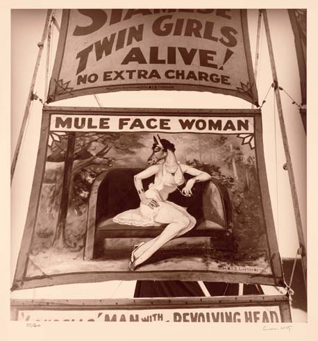 Mule Face Woman