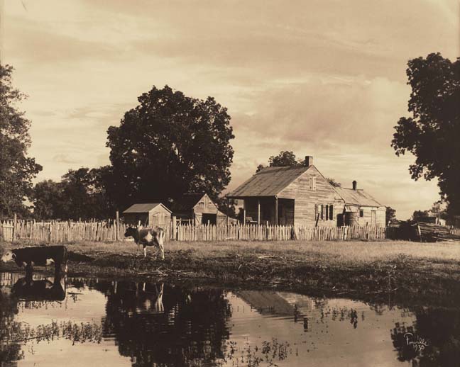Country Estate, Near Bayou Lafouche