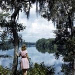 Lois Duncan Steinmetz, Admiring the Scenery of the Suwanee River, FL