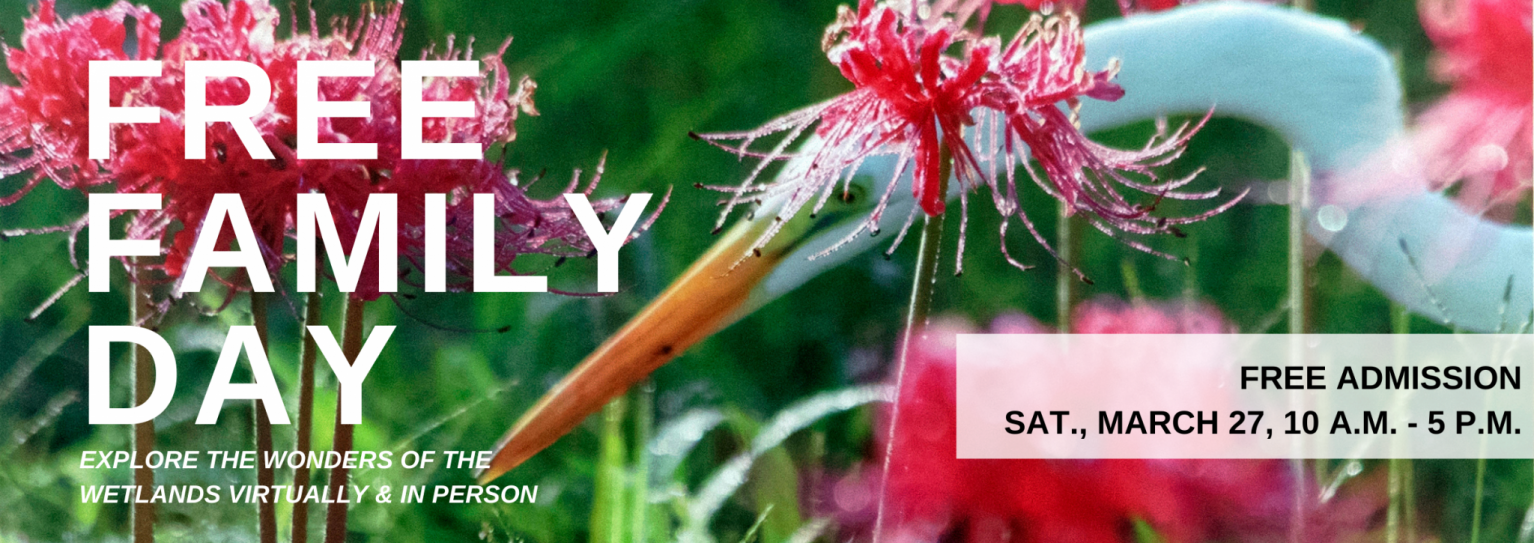 Free Family Day - Ogden Museum of Southern Art